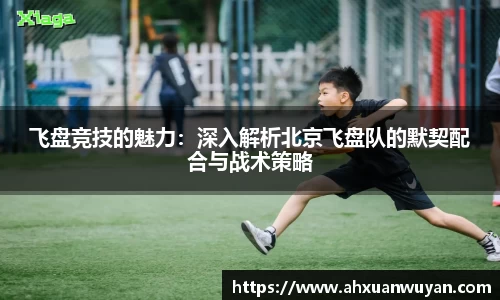 飞盘竞技的魅力：深入解析北京飞盘队的默契配合与战术策略