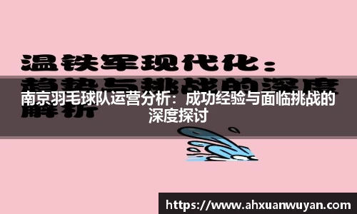 南京羽毛球队运营分析：成功经验与面临挑战的深度探讨